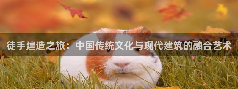 非凡娱乐资讯官网入口：徒手建造之旅：中国传统文化与现代建筑的融合艺术
