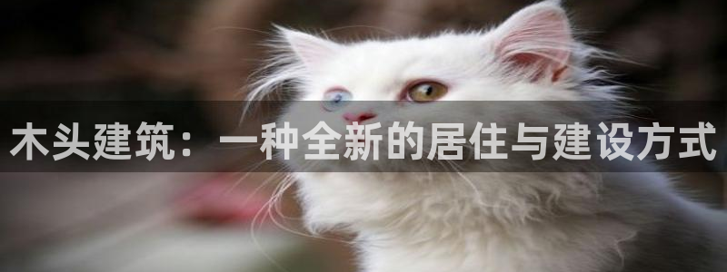 非凡娱乐垫付金额：木头建筑：一种全新的居住与建设方式