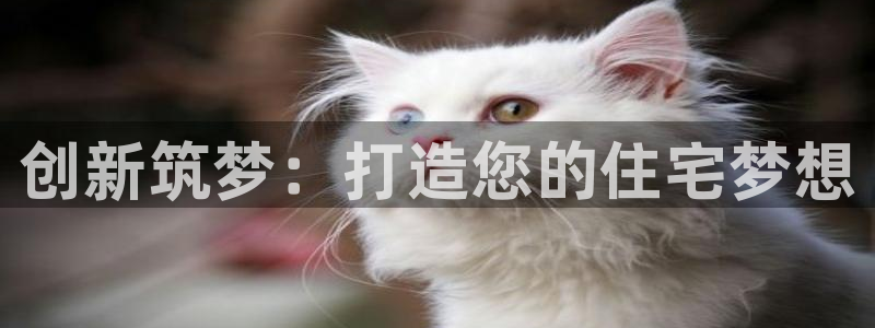 非凡娱乐网：创新筑梦：打造您的住宅梦想