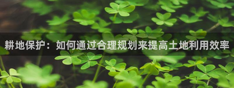 非凡娱乐客服：耕地保护：如何通过合理规划来提高土地利用效率