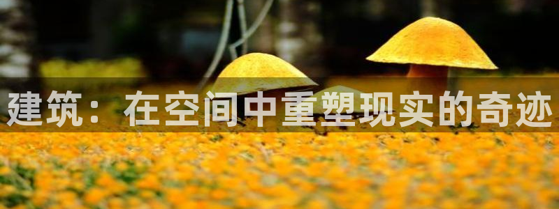 非凡娱乐赛：建筑：在空间中重塑现实的奇迹