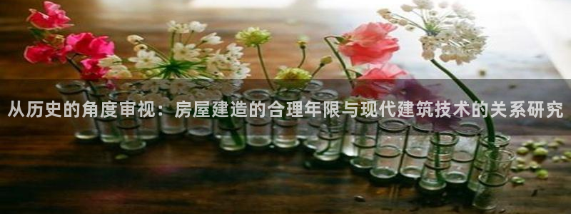 非凡娱乐系统：从历史的角度审视：房屋建造的合理年限与现代建筑技术的关系研究