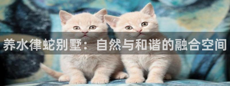 非凡娱乐中国：养水律蛇别墅：自然与和谐的融合空间