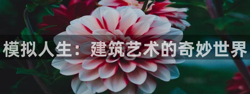 非凡娱乐游戏软件：模拟人生：建筑艺术的奇妙世界