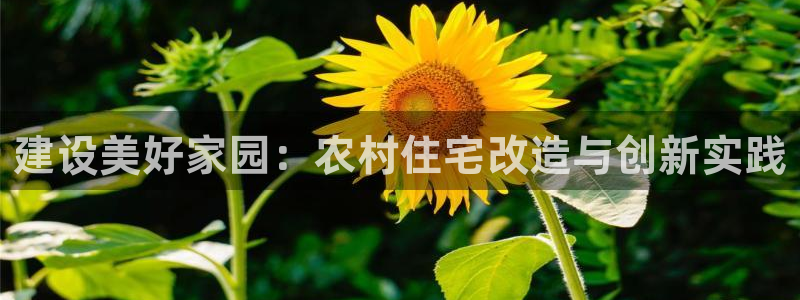 非凡娱乐理财logo：建设美好家园：农村住宅改造与创新实践