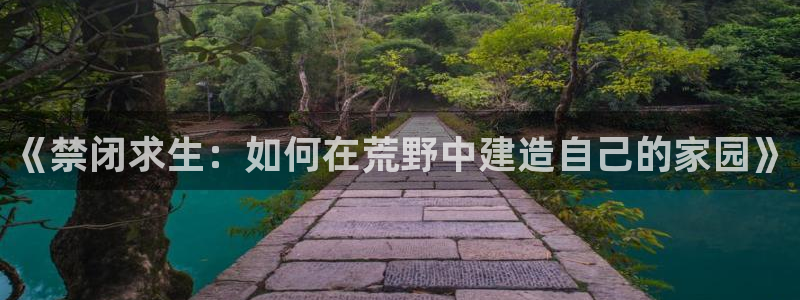 非凡娱乐币：《禁闭求生：如何在荒野中建造自己的家园》