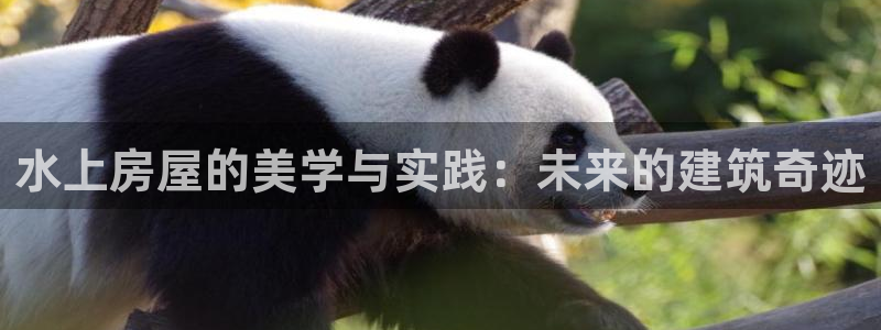 非凡娱乐游戏大厅下载：水上房屋的美学与实践：未来的建筑奇迹