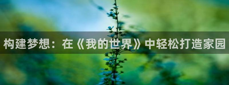 非凡娱乐大厅有挂吗：构建梦想：在《我的世界》中轻松打造家园