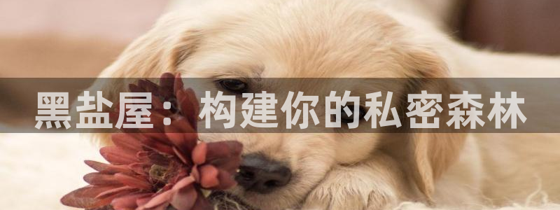 非凡娱乐传媒：黑盐屋：构建你的私密森林
