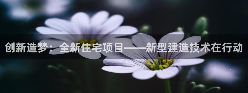 非凡娱乐系统：创新造梦：全新住宅项目——新型建造技术在行动