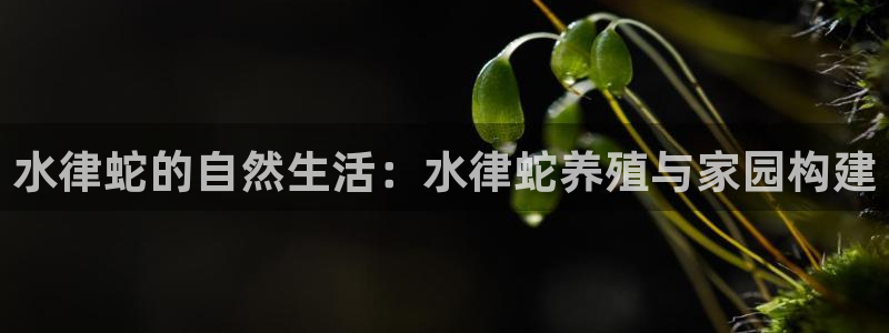 非凡娱乐系统：水律蛇的自然生活：水律蛇养殖与家园构建