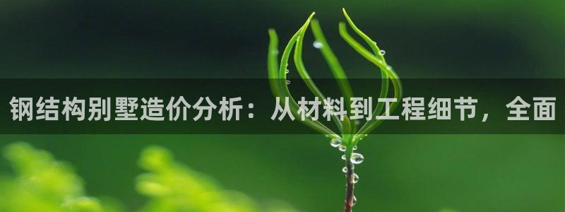 非凡娱乐垫付金额：钢结构别墅造价分析：从材料到工程细节，全面