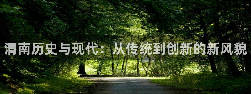 怎么下载非凡娱乐大厅：渭南历史与现代：从传统到创新的新风貌
