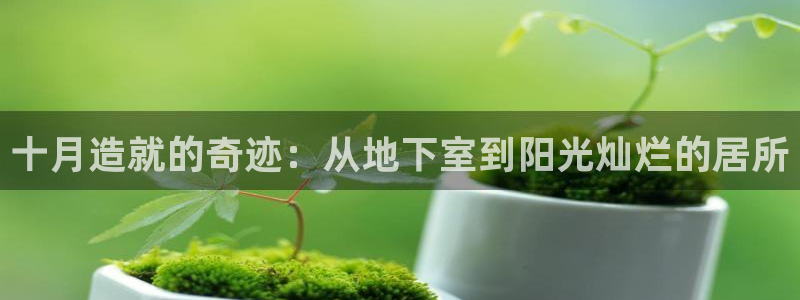 非凡娱乐登录：十月造就的奇迹：从地下室到阳光灿烂的居所
