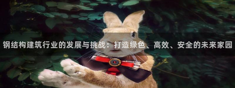 非凡娱乐管理集团：钢结构建筑行业的发展与挑战：打造绿色、高效、安全的未来家园