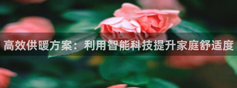 非凡娱乐系统：高效供暖方案：利用智能科技提升家庭舒适度